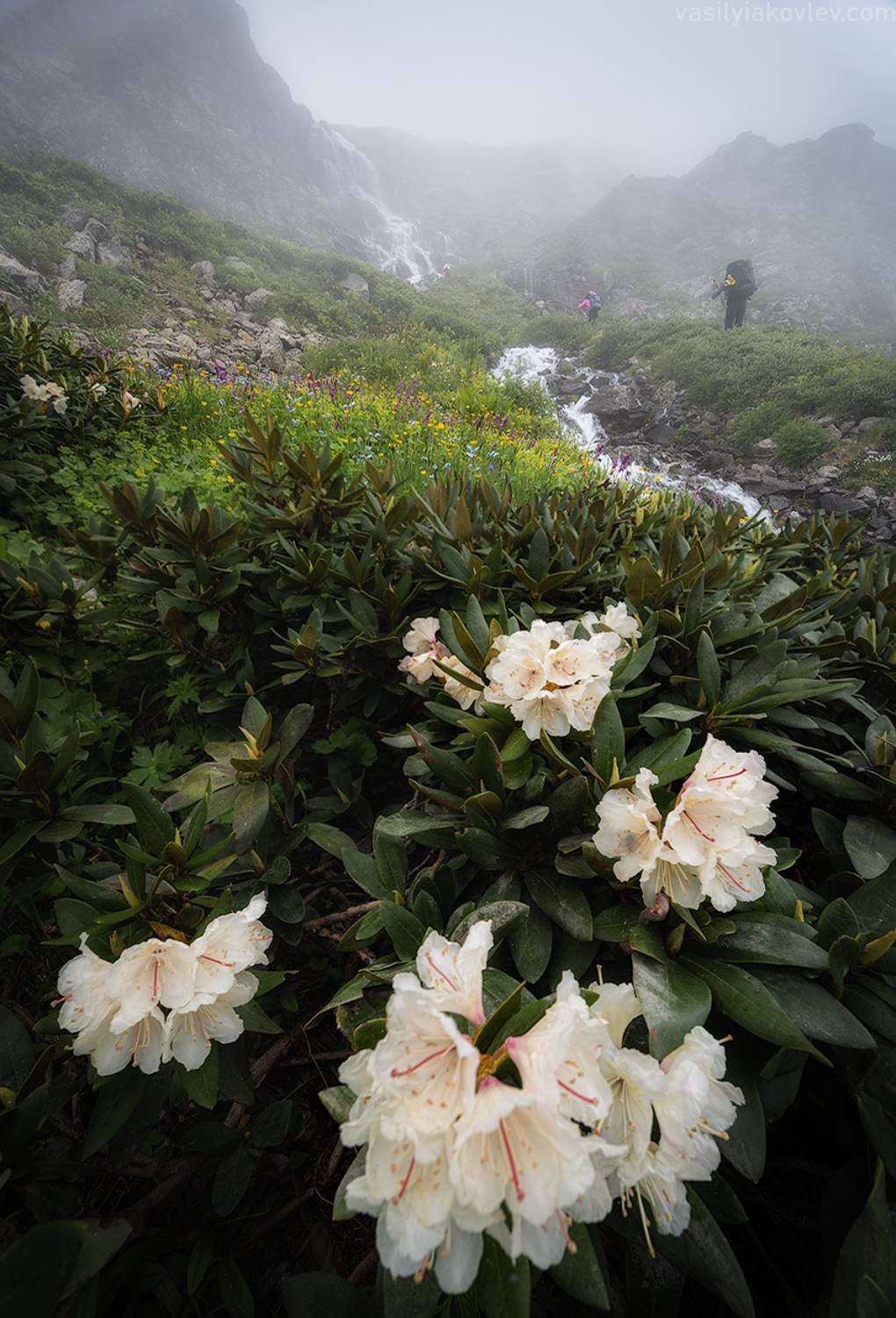 кчр, фототур, яковлевфототур, поход, загеданские, имеретинские, безмолвия, кавказ, имеретинка, загеданка, кавказ, поход, Василий Яковлев