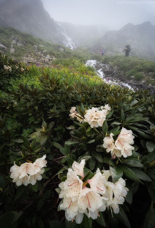 кчр, фототур, яковлевфототур, поход, загеданские, имеретинские, безмолвия, кавказ, имеретинка, загеданка, кавказ, поход На маршруте фото превью