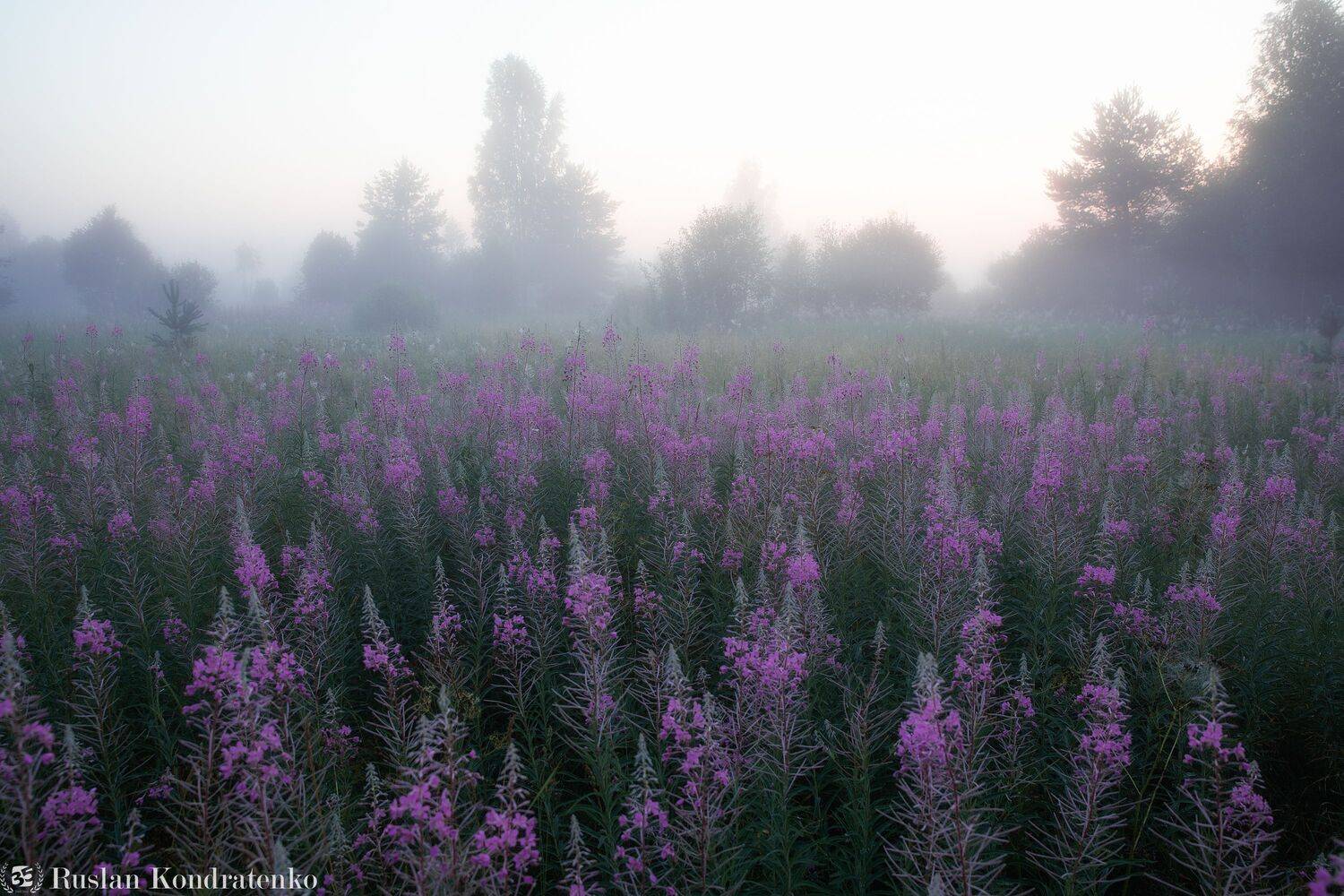 река, рассвет, лемовжа, закат, Кондратенко Руслан