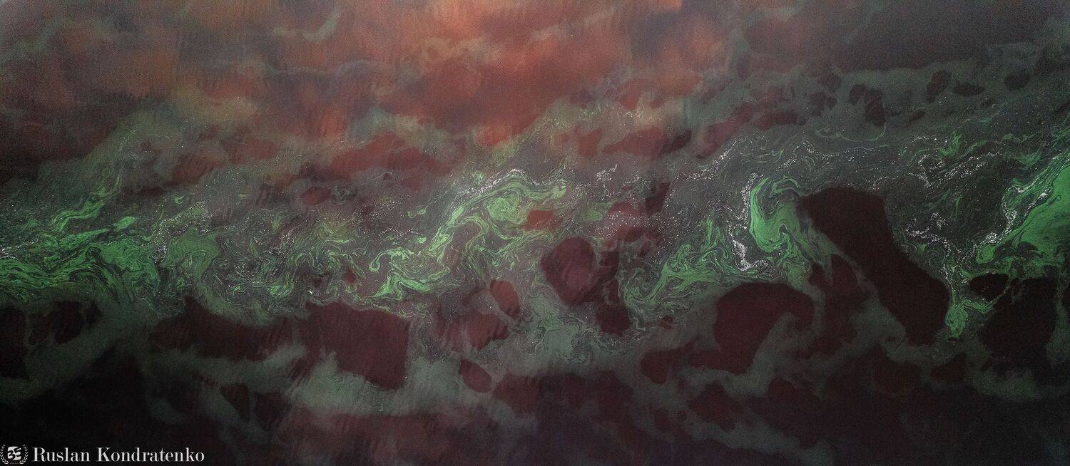 волхов, ленинградская область, река, цветение, topdown, Кондратенко Руслан