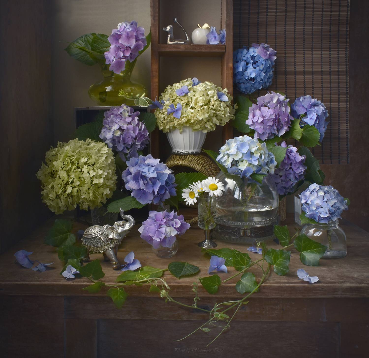 , Ирина Шипунова