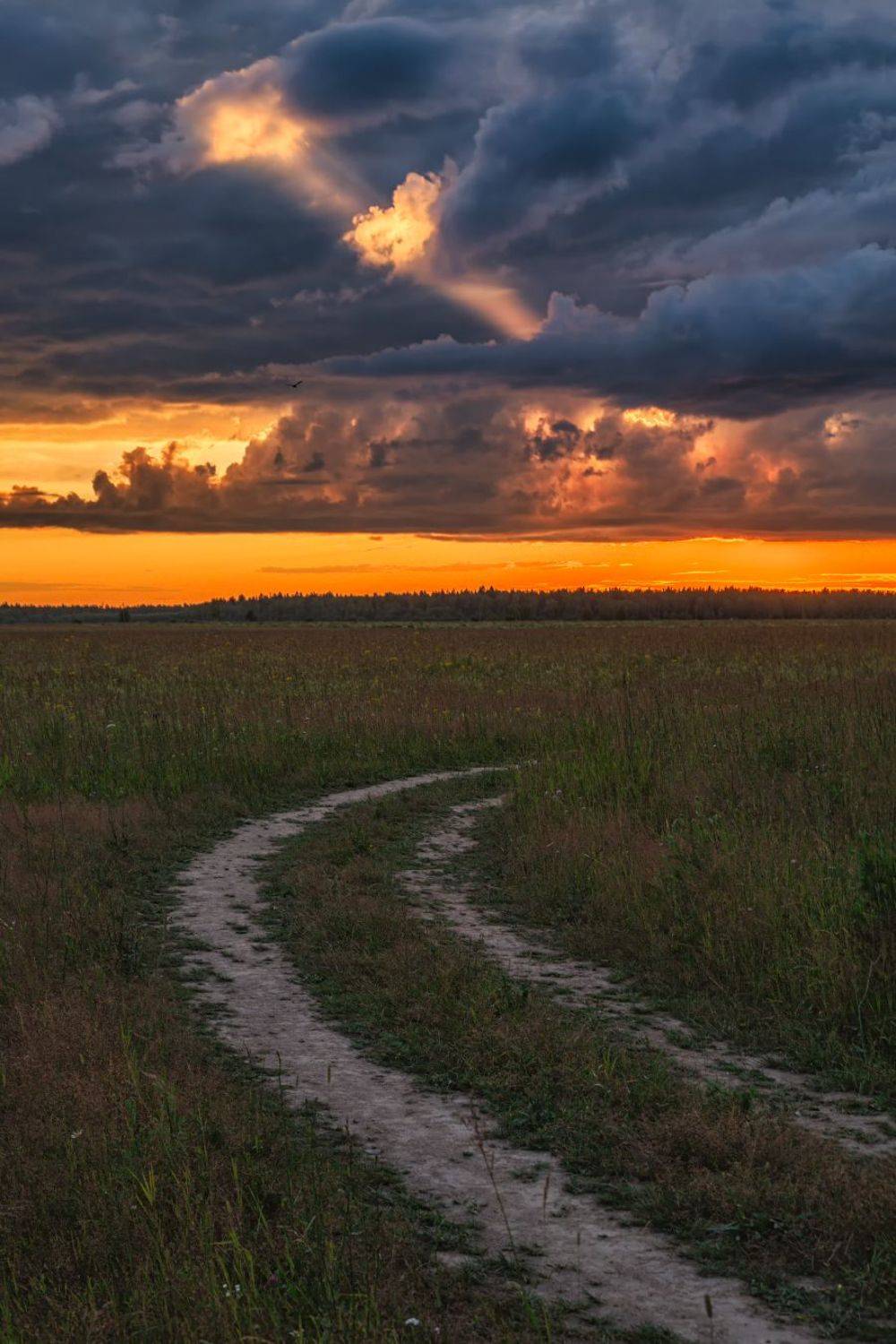 , Евгений Ерохин