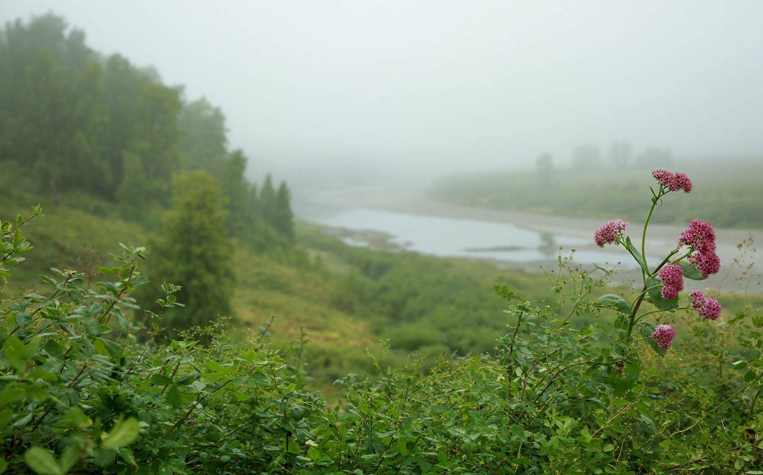 , Алексей Хахлов