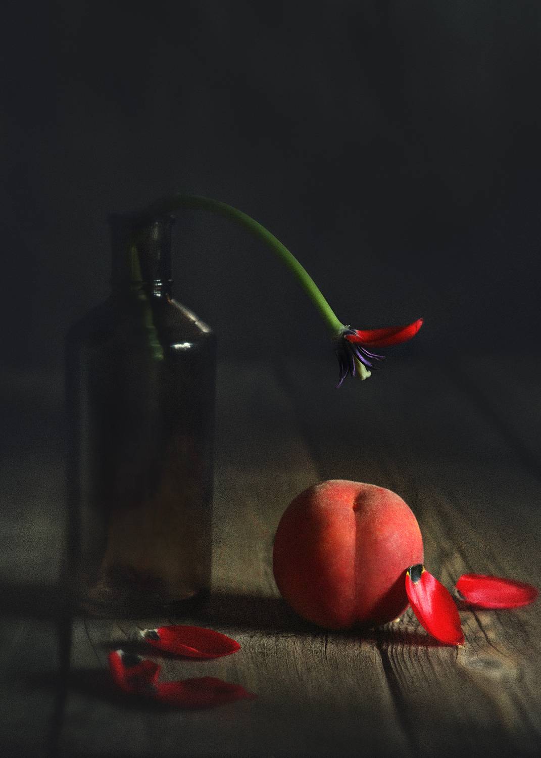 , Морозов Вадим