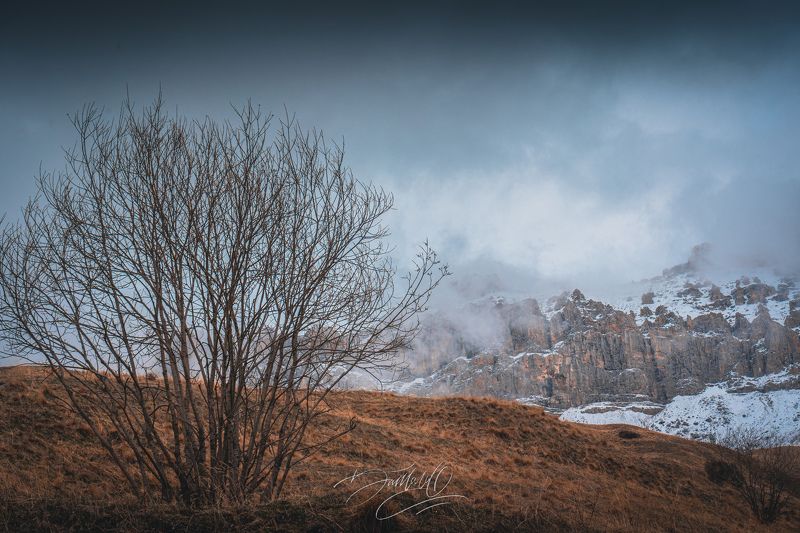 горы, зима, дерево, снег, природа, осетия, природа осетии, кавказ, россия, горы россии, осень РСО-Алания, с. Верхний Згид, февраль 2023 фото превью