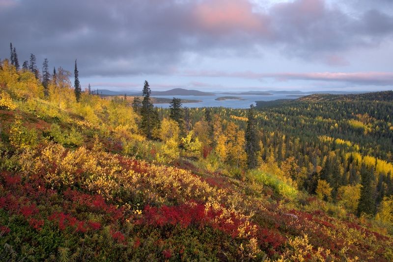 кольский, мурманская, имандра, осень, озеро Сентябрь на Имандре фото превью