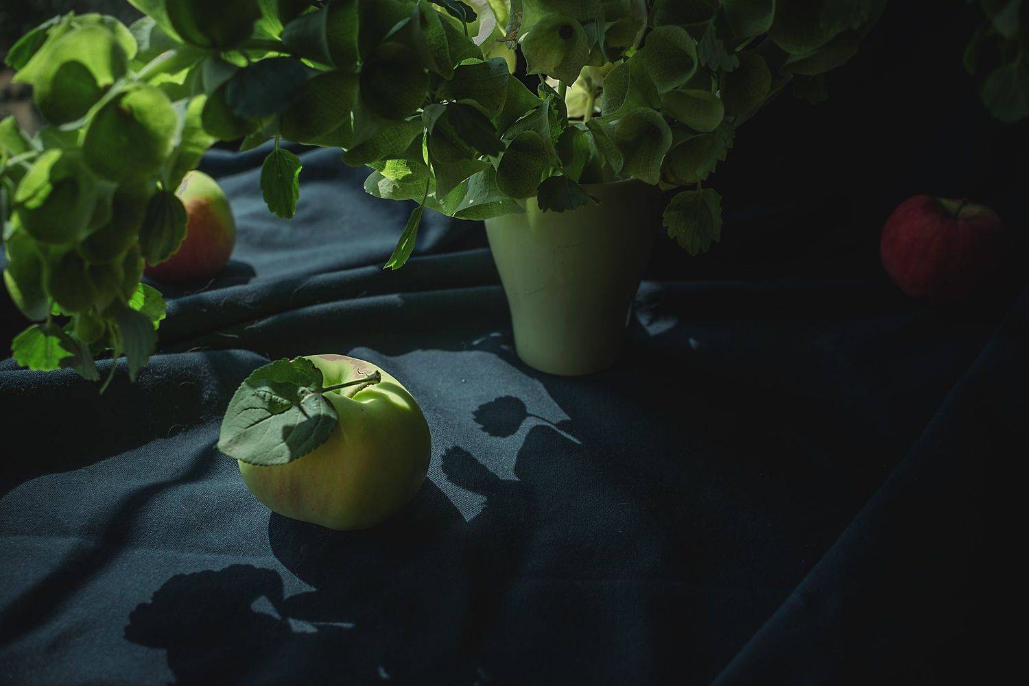 , Романова Инга