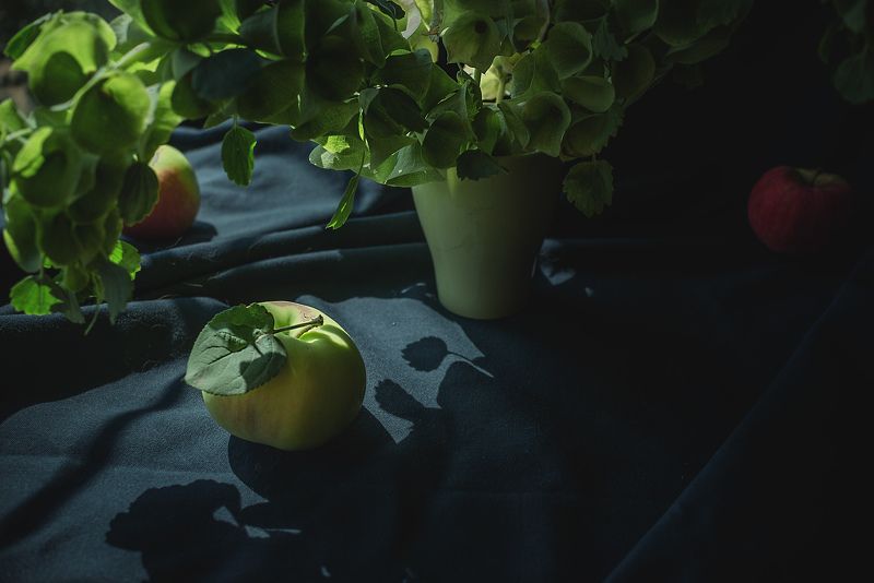 фото превью