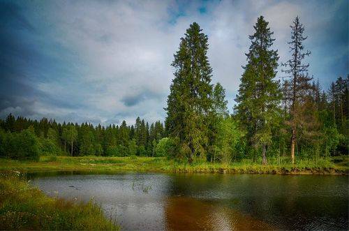 В краю тысячи озёр