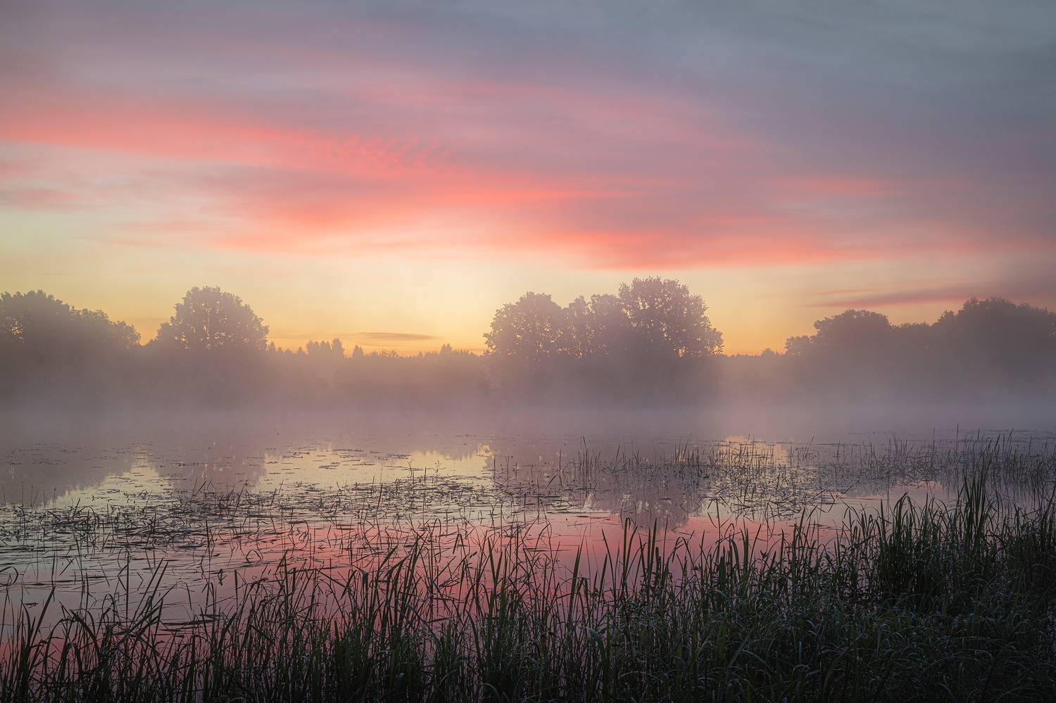 рассвет туман пойма полесье беларусь, Владимир Баранов