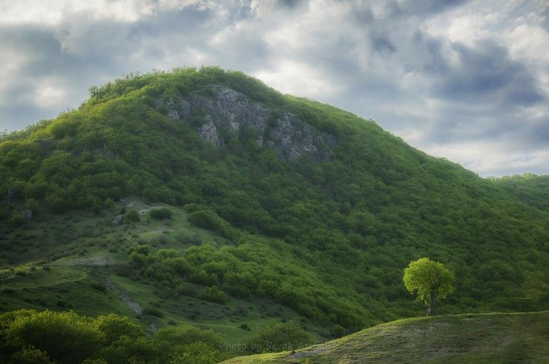 Купаясь в лучах Солнца фото превью