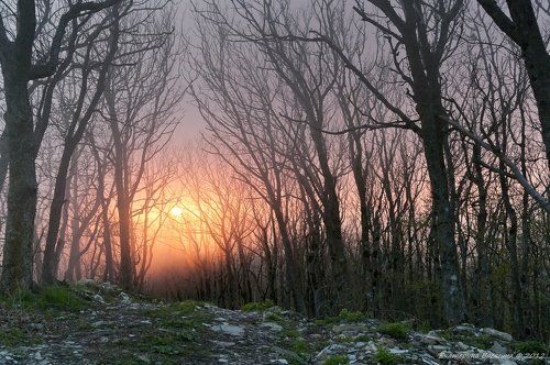 Один вечер на Семи ветрах...