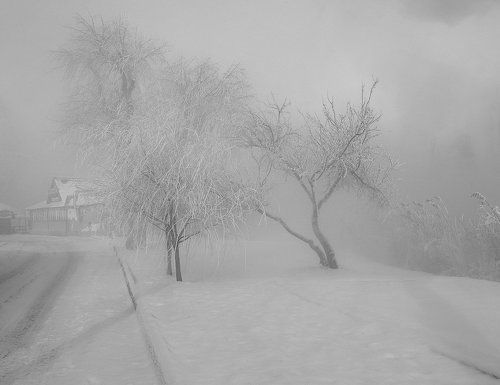 Зимнее утро