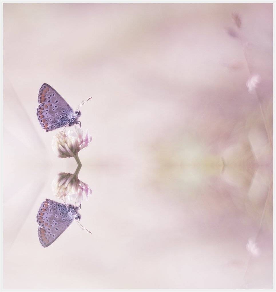 , Krzysztof Trojanowski