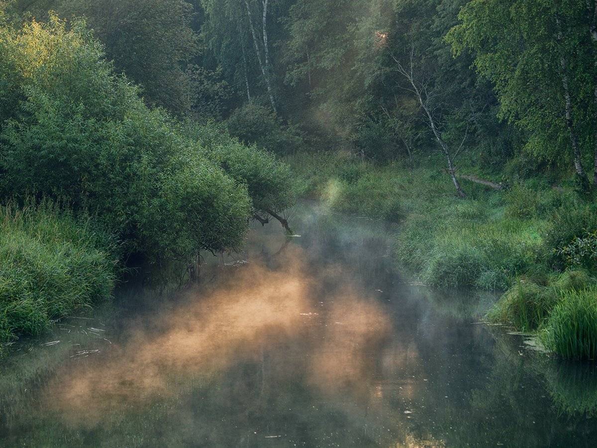 , Владимир Перепечаев