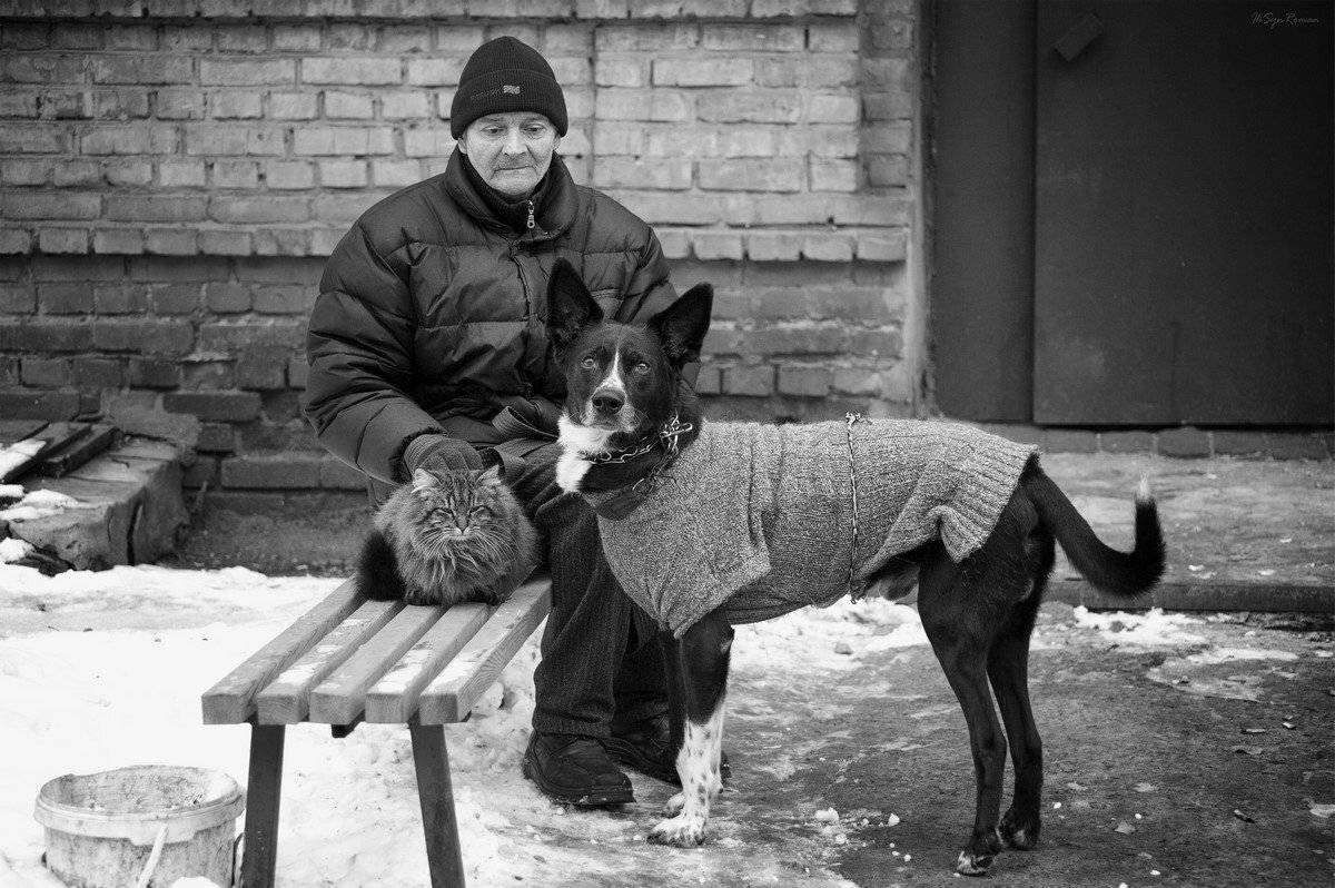 , Роман Красов