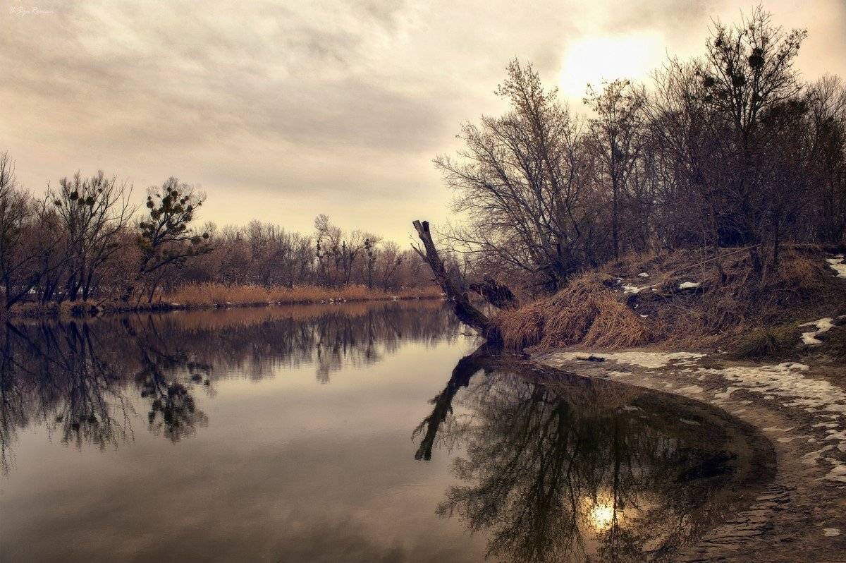 , Роман Красов