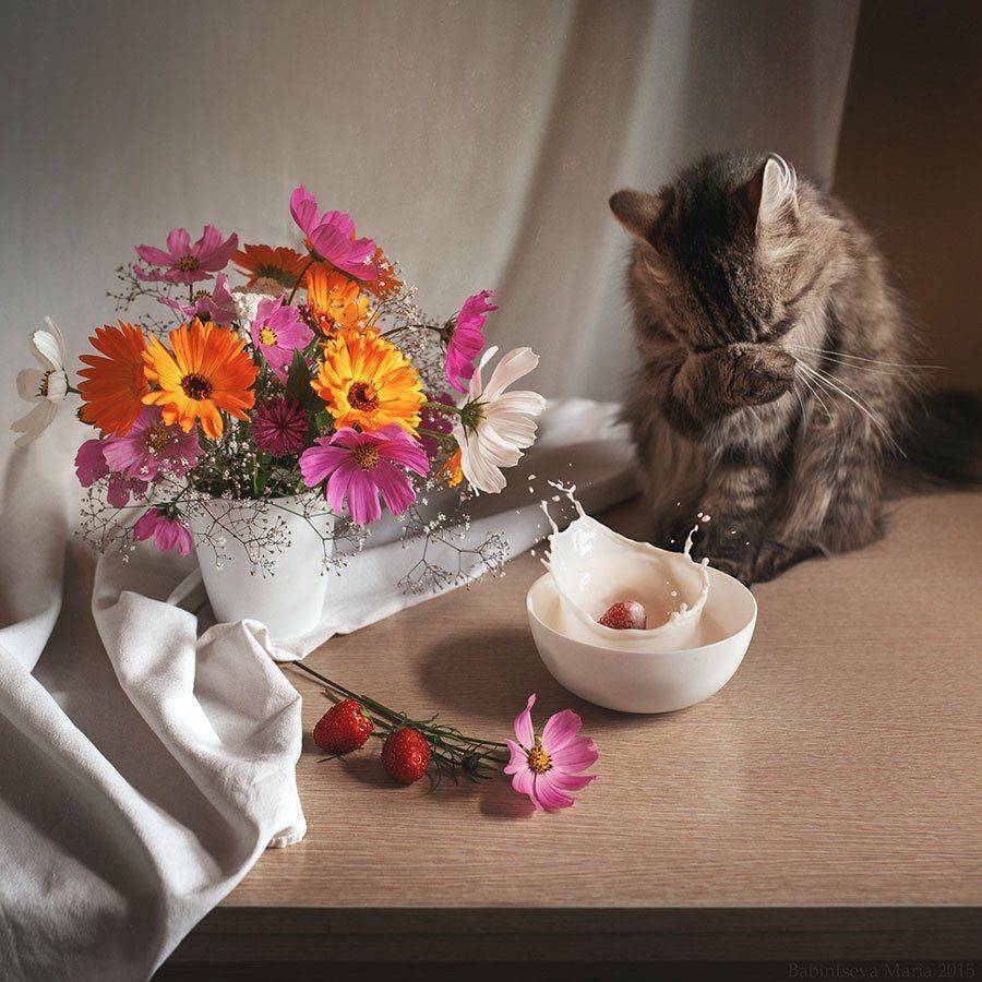 , Бабинцева Мария