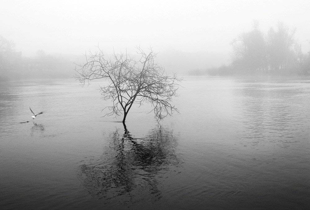 , Ирина Лепихина