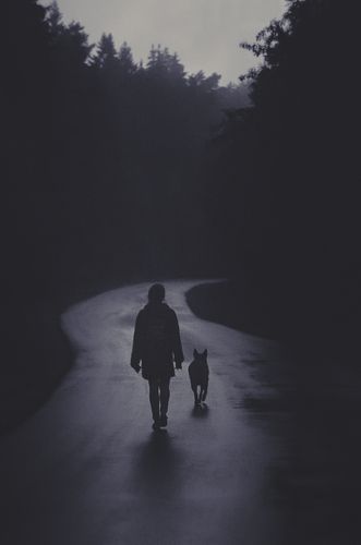 Misty road
