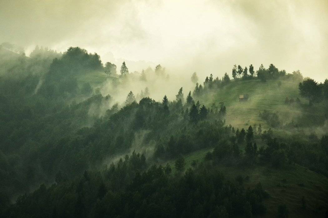 , Stefan Chirobocea