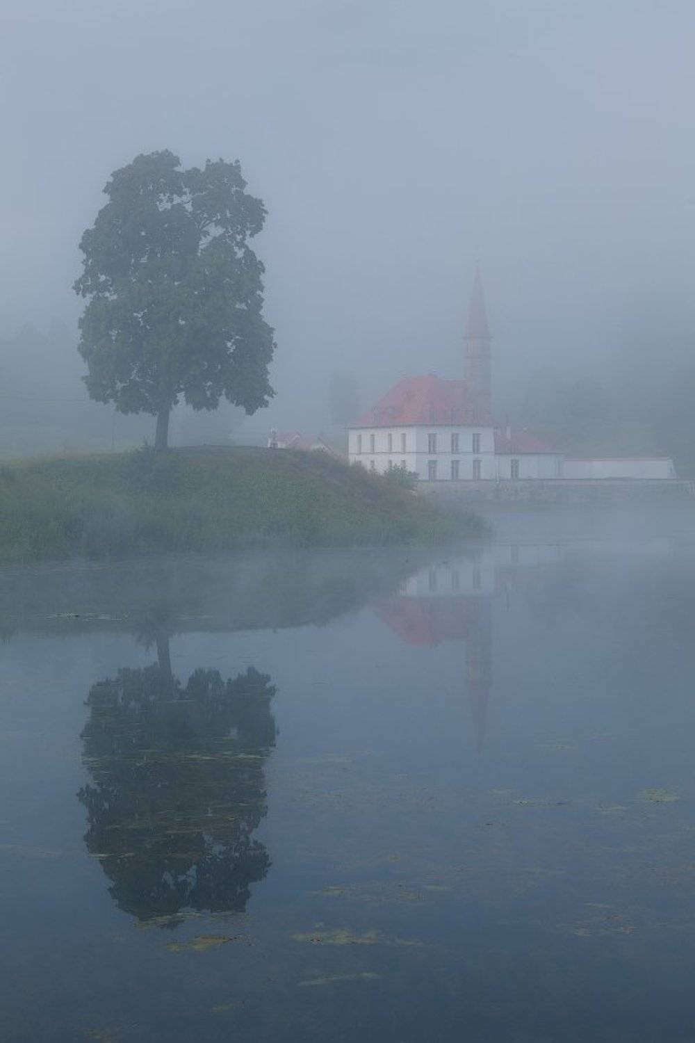 гатчина, приоратский дворец, туман, утро, Alex Darkside