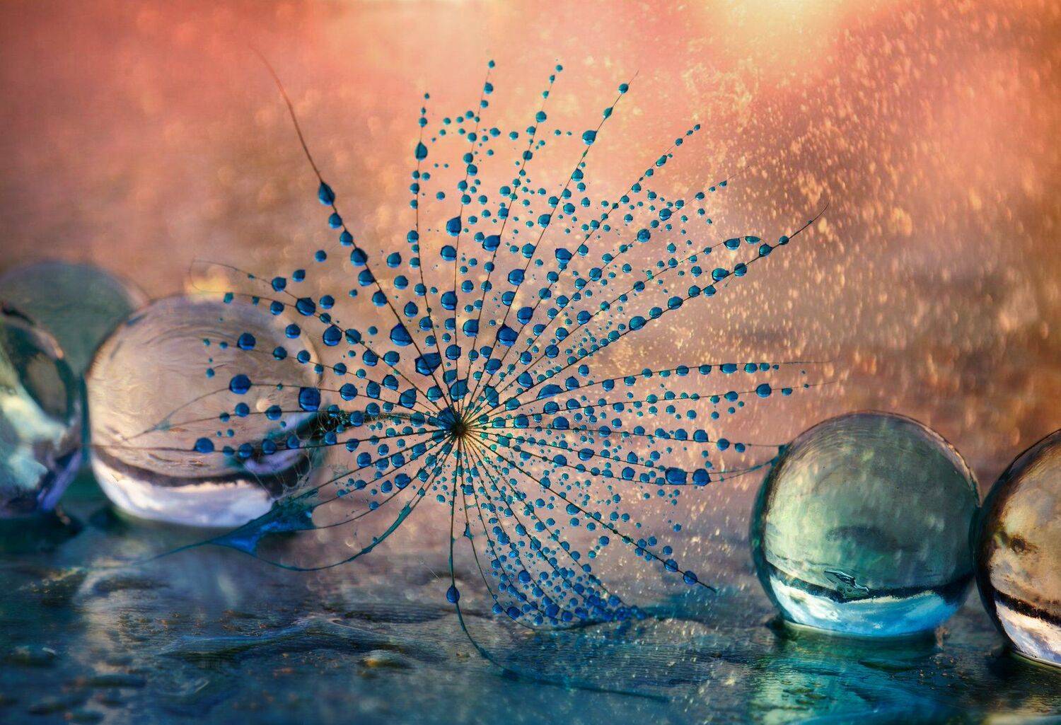 , Таня  Маркова