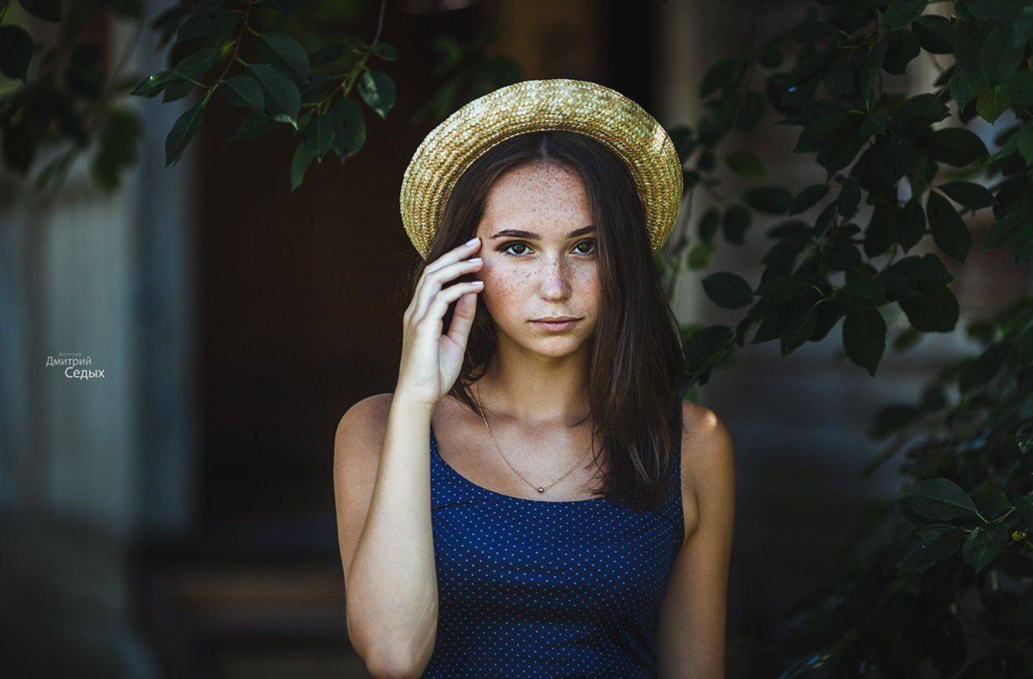 , Седых Дмитрий