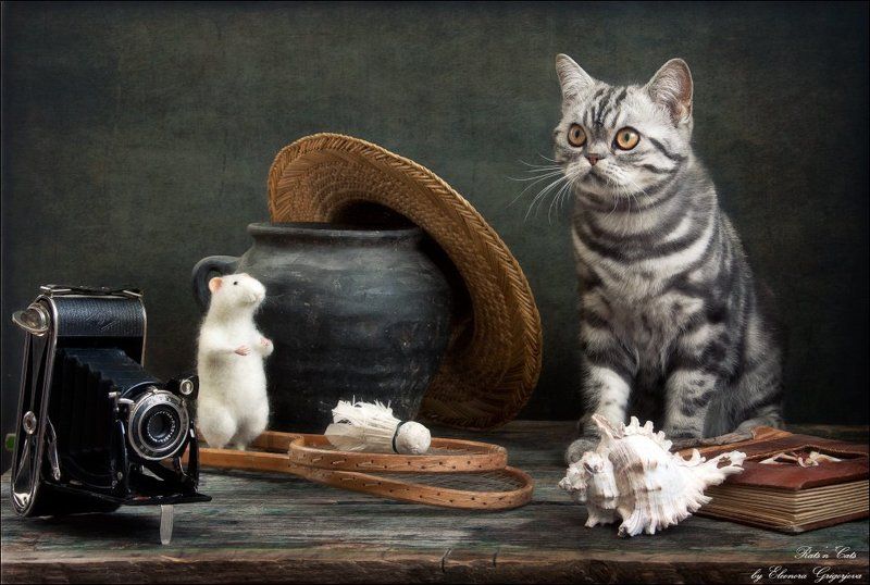 rats\'n\'cats, кошки-мышки, натюркотики Rats\'n\'Cats. Феликс наносит визиты. фото превью