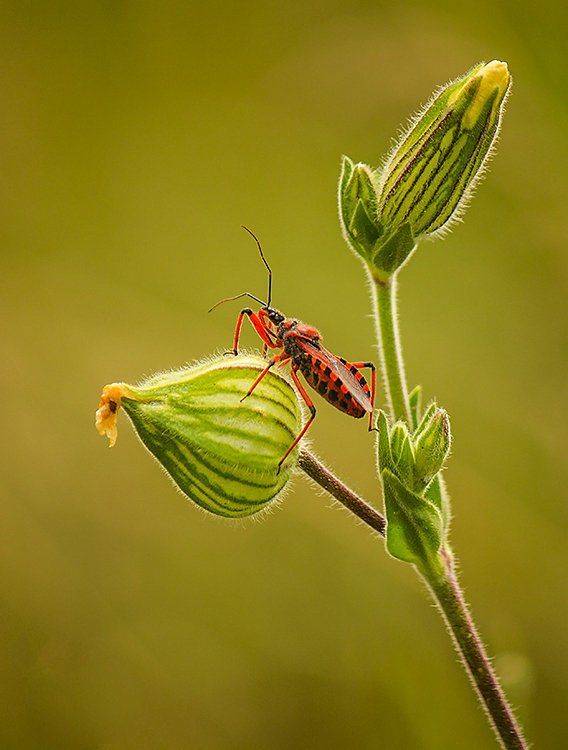 , Pawel Plucinski