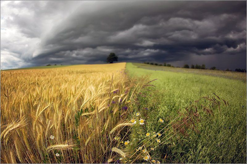 Summertime фото превью