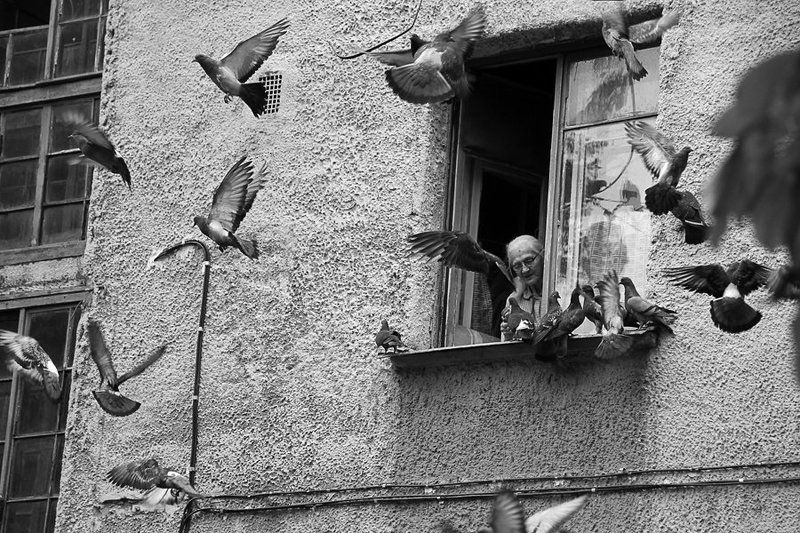 Кондратьевский,40 .. или хроника уходящего дома (часть 1) фото превью