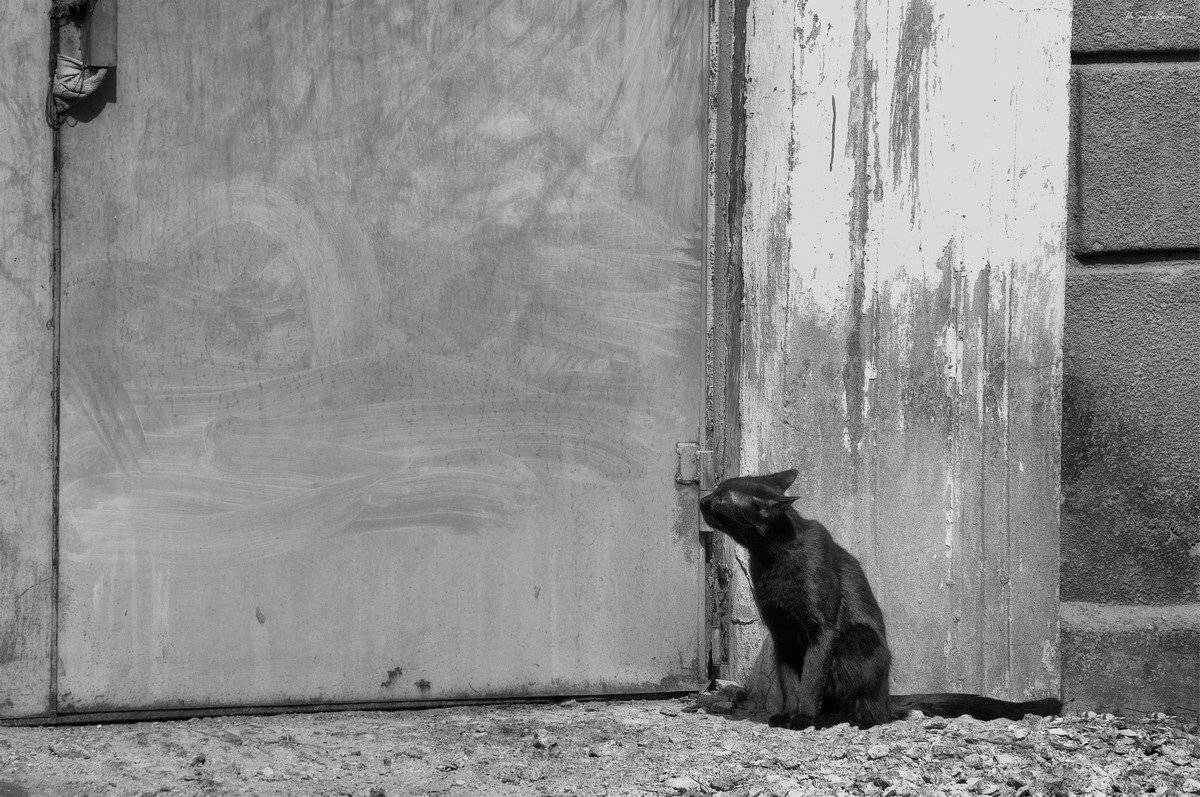 , Роман Красов