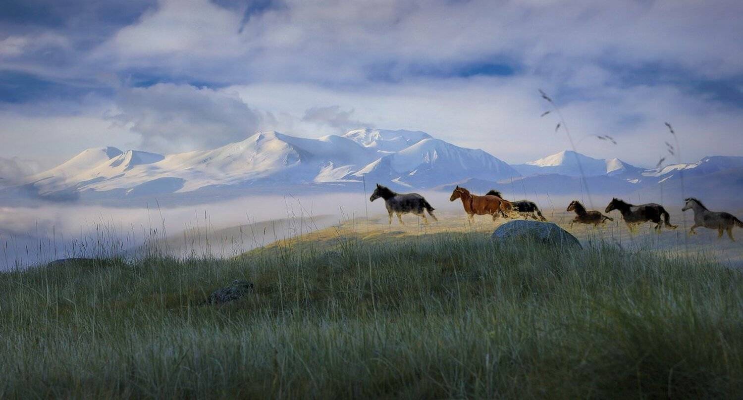 , Александр Волобуев