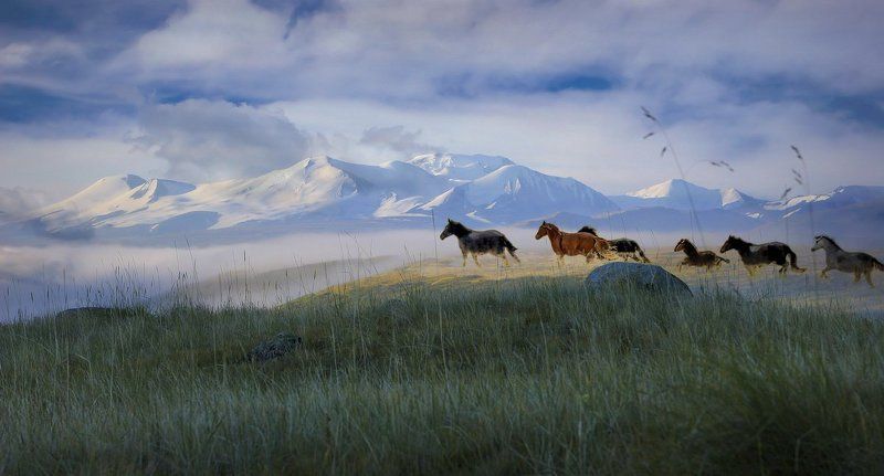 В поисках Беловодья.. фото превью