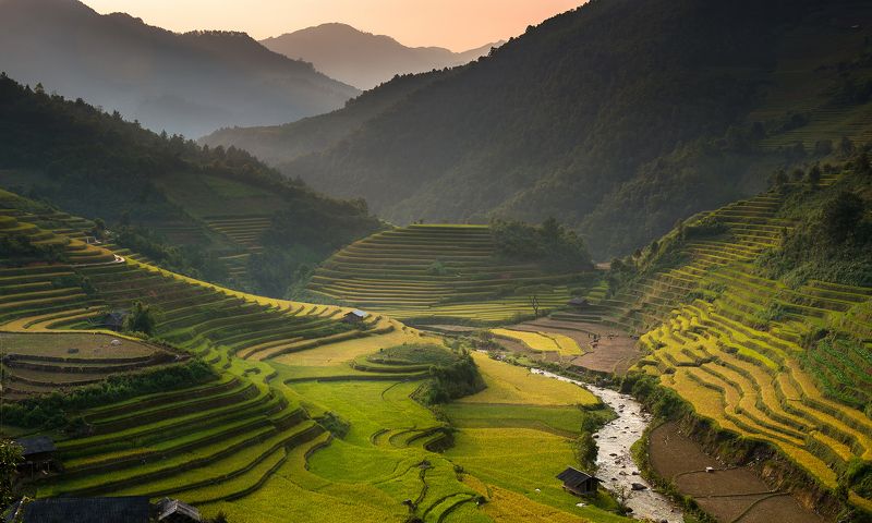 Color Image, Grass, Horizontal, Landscape, Mountain Range, North Vietnam, Outdoors, Photography, Rice - Food Staple, Rice Paddy, Terraced Field, Tranquil Scene, Vietnam Amazing Rice terraces фото превью