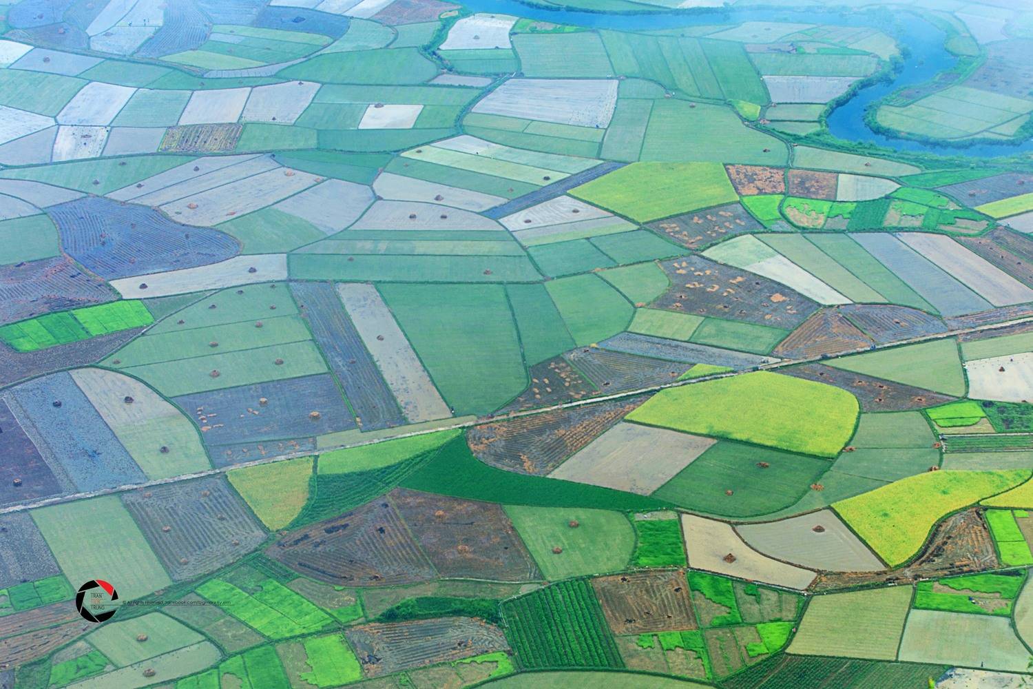 , Trần Tiến Trung