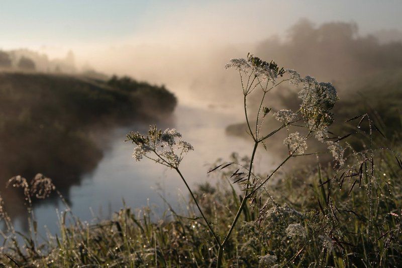 утро солнечного дня фото превью