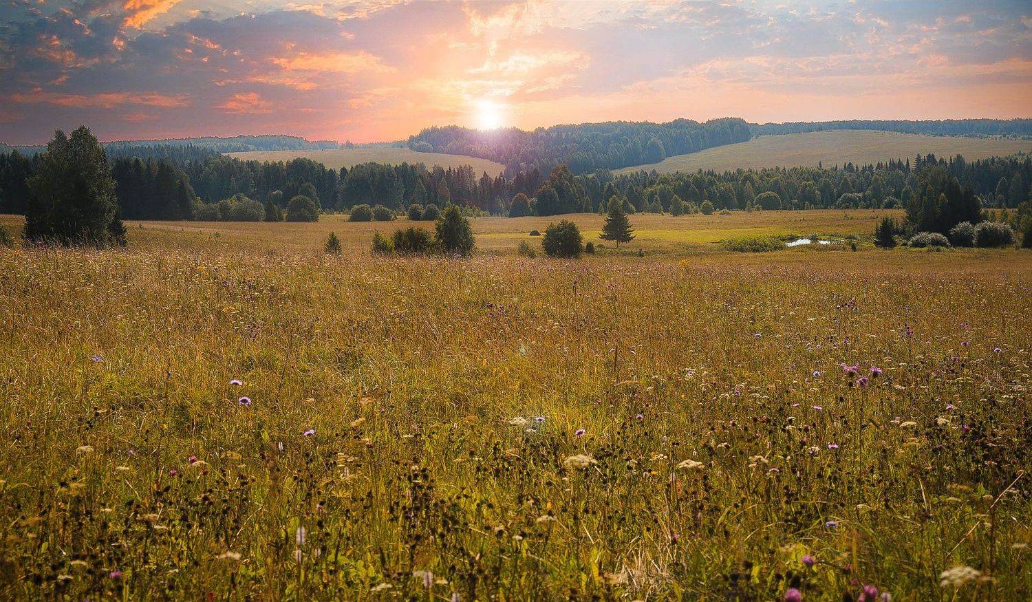 , Александр Казин
