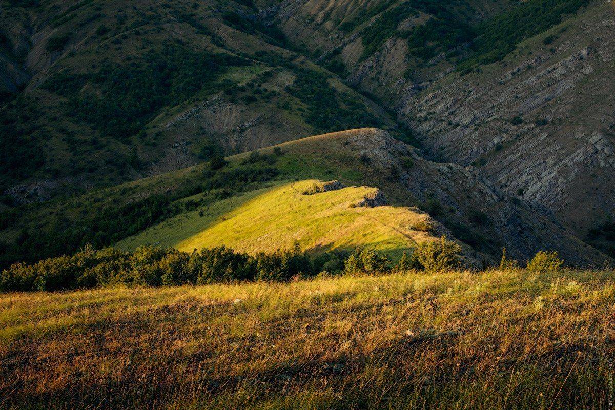 , Олег Логунов