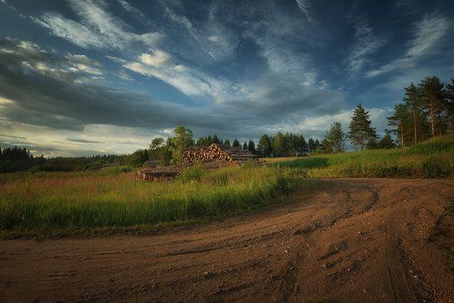 По следам вырубки