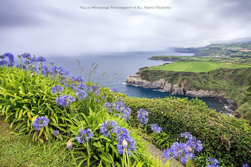 lush and green Azores фото превью