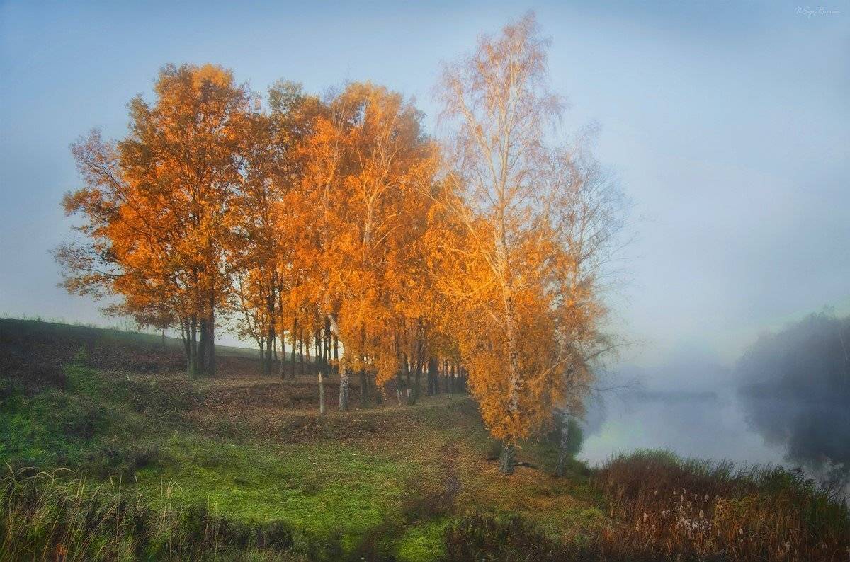 , Роман Красов