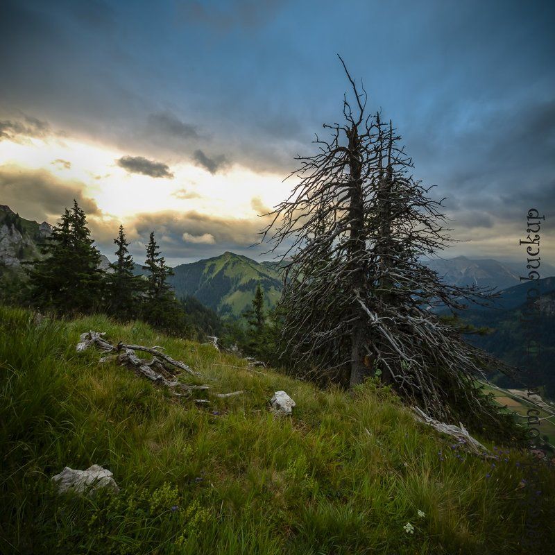 Австрия, Альпы, Горы, Тироль im Tannheimer Berge... фото превью