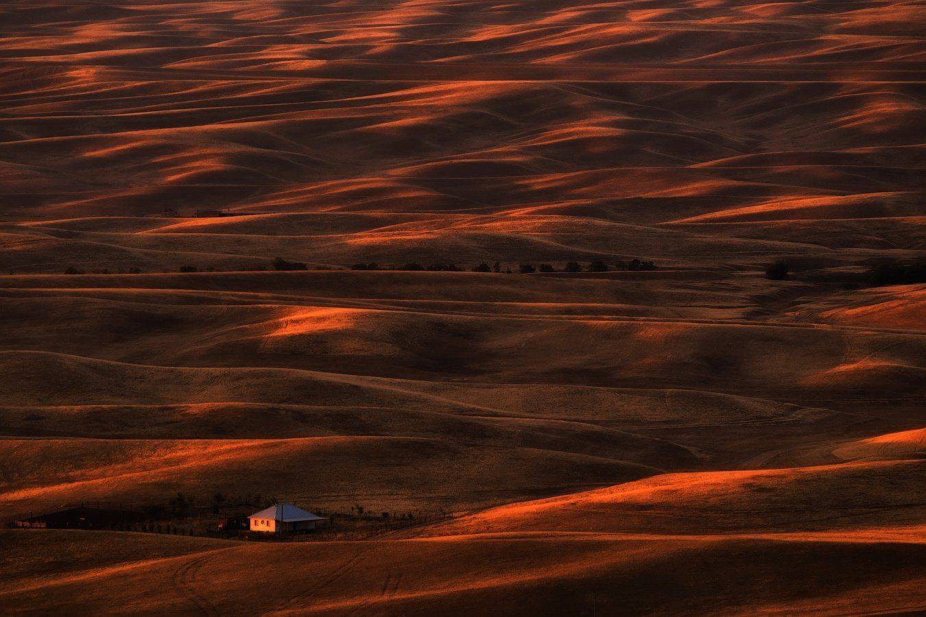 , Ольга Кулакова