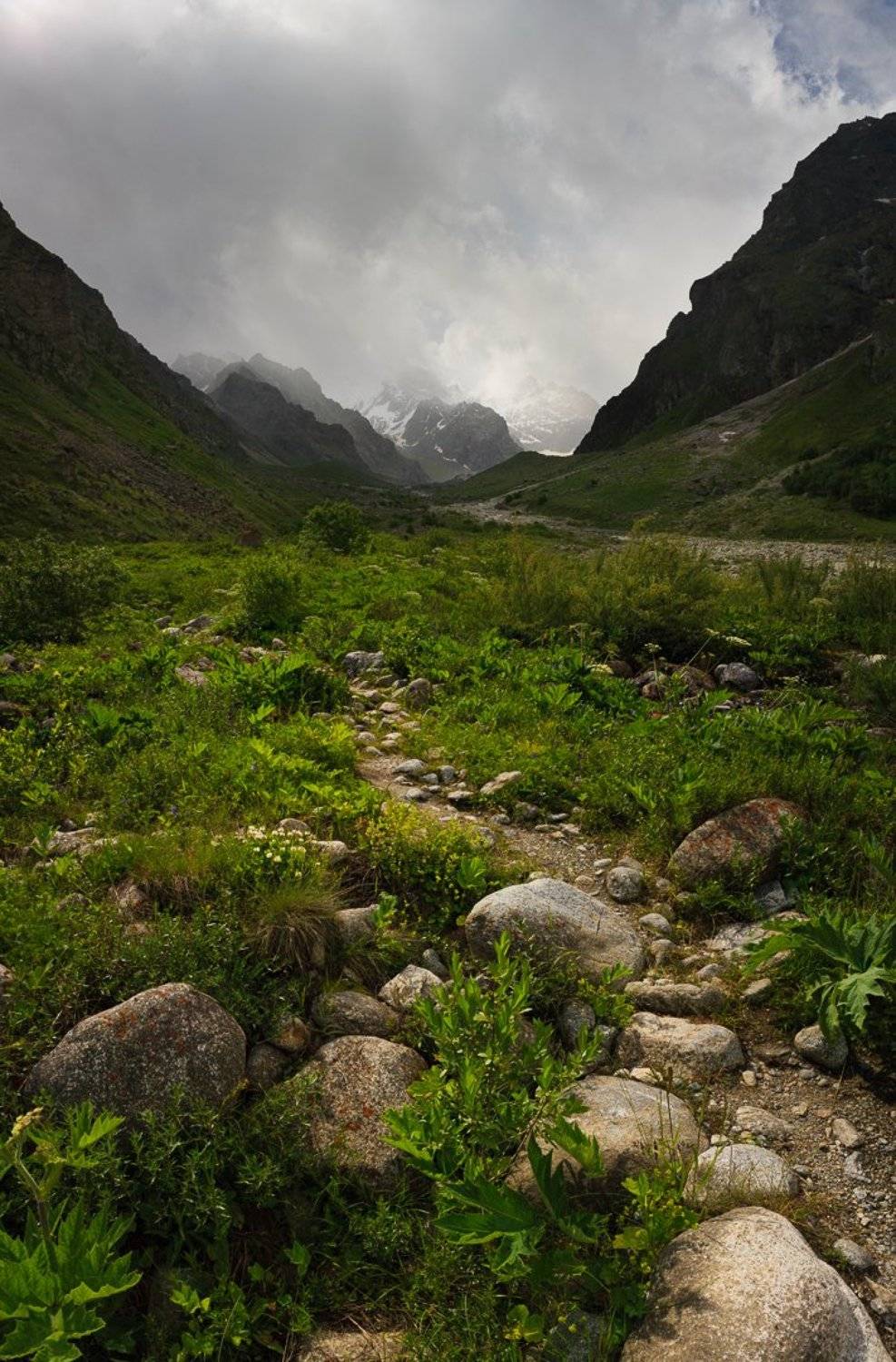 , Шарапов Сергей