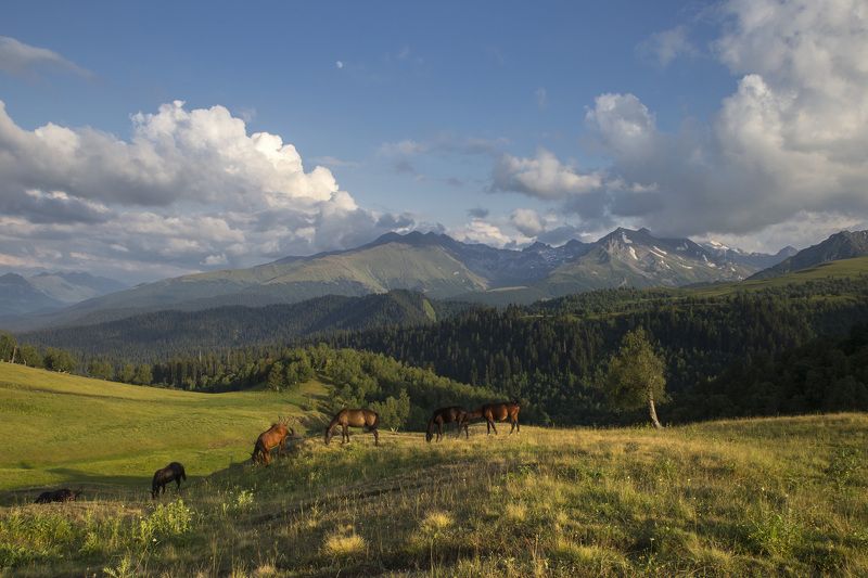 Архыз. Веховья реки Дукка фото превью