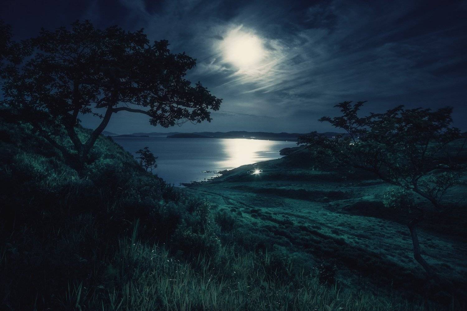 Деревья, Луна, Море, Утро, Андрей Кровлин