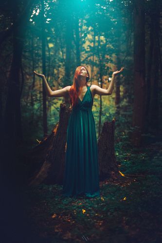 The Soul of a Dead Tree