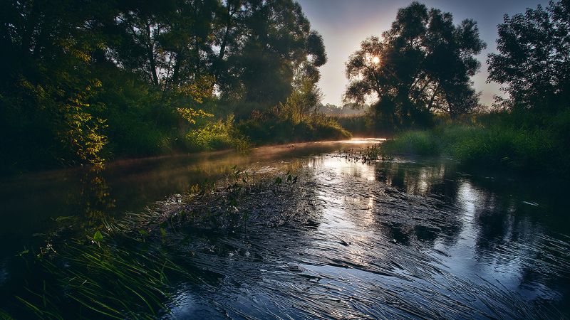 Утро в Истре фото превью